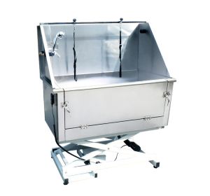 Stainless Steel Multifunctional Electric Lift Bathtub