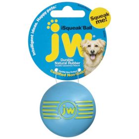 JW Pet iSqueak Ball Dog Toy Assorted Small